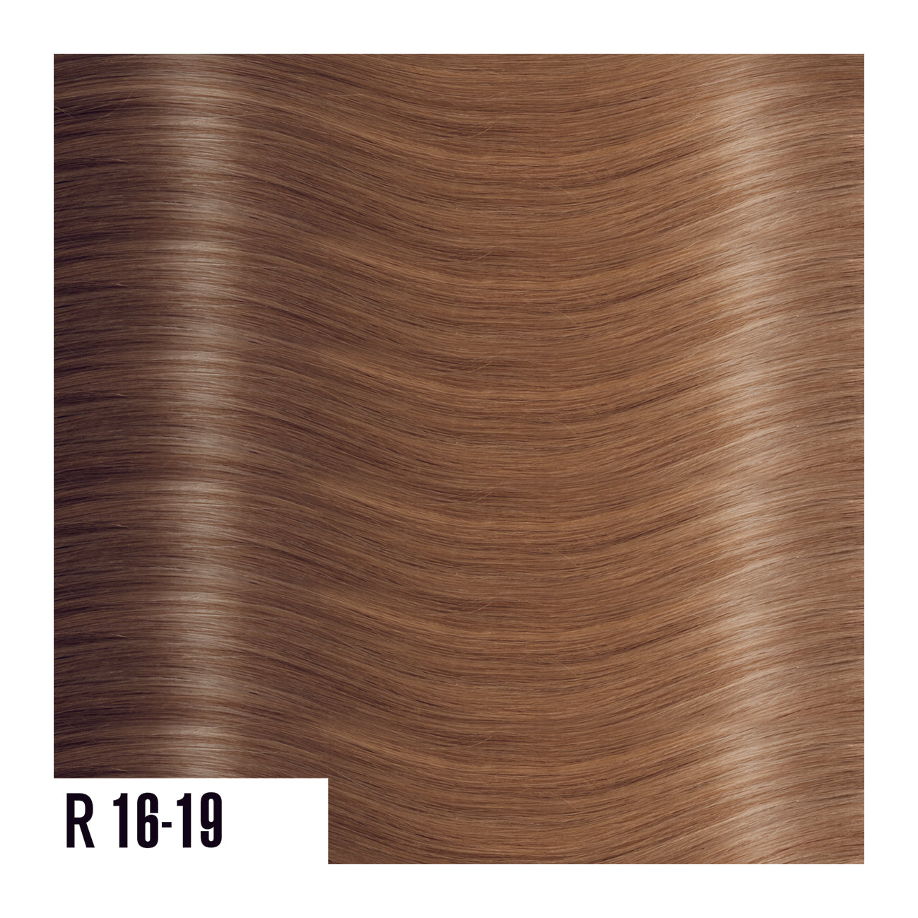 R16-19