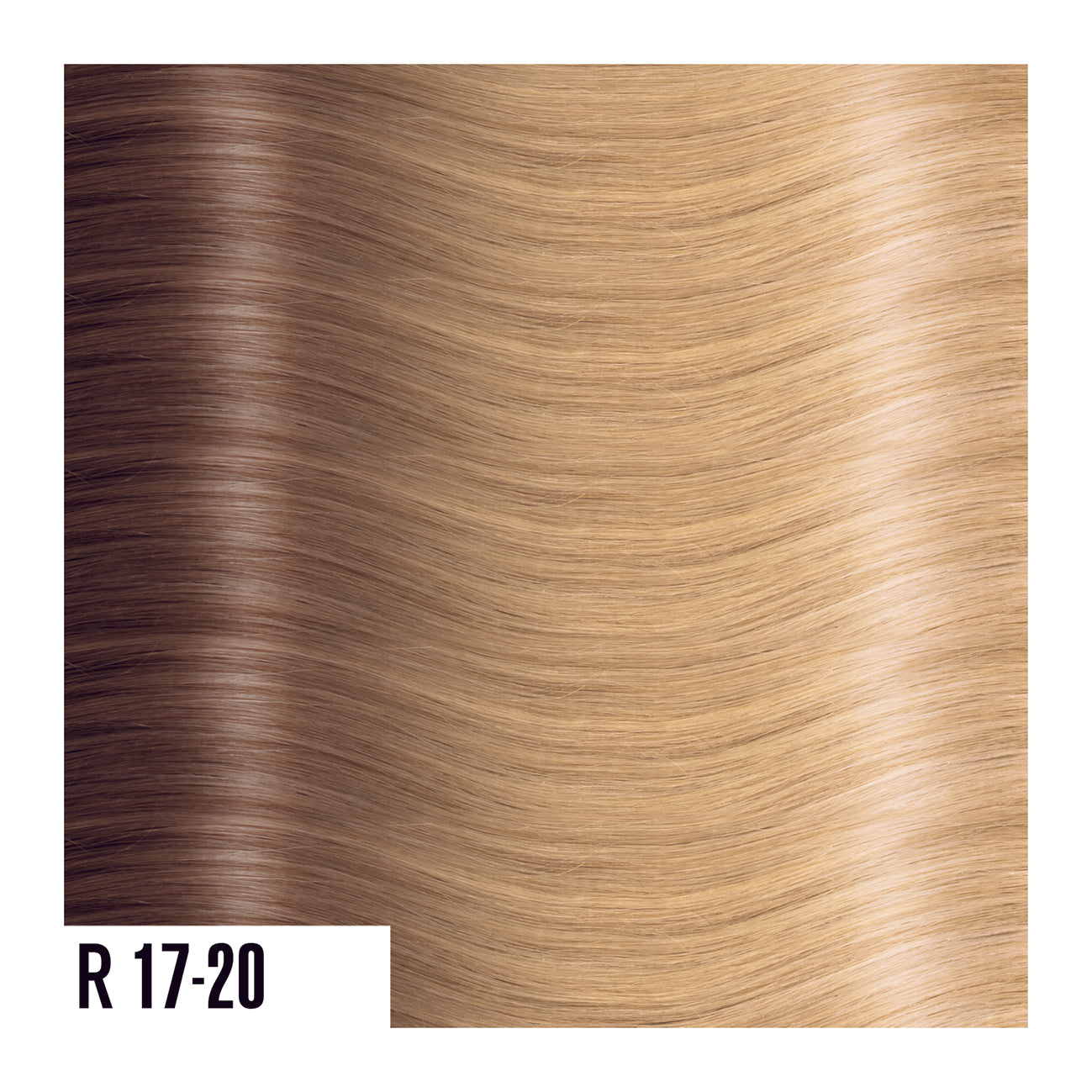 R17-20