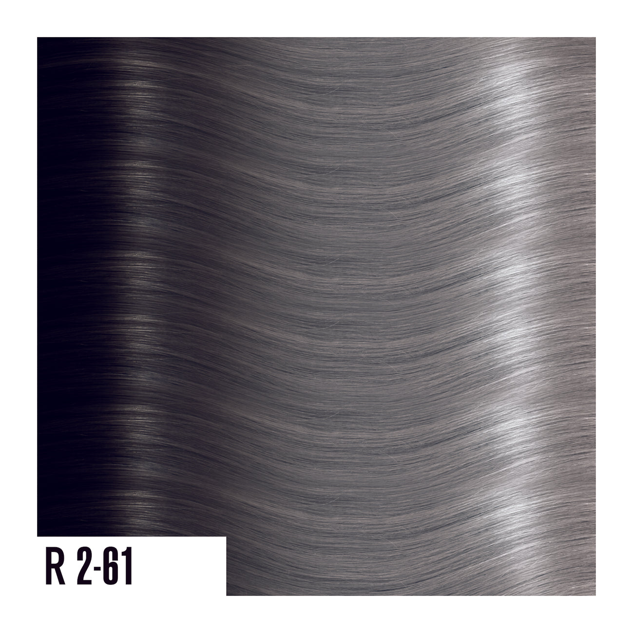 R2-61