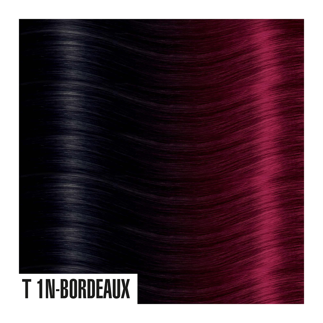 T1N-Bordeaux