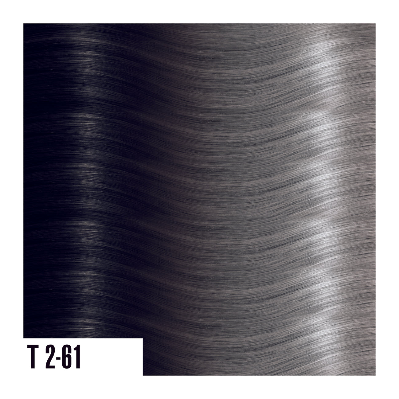 T2-61