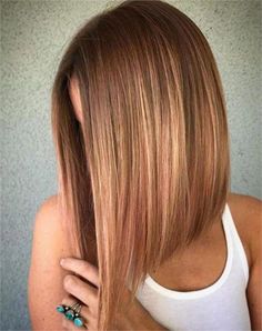 SHE Newsletter No. 13 - Extensions and the Lob