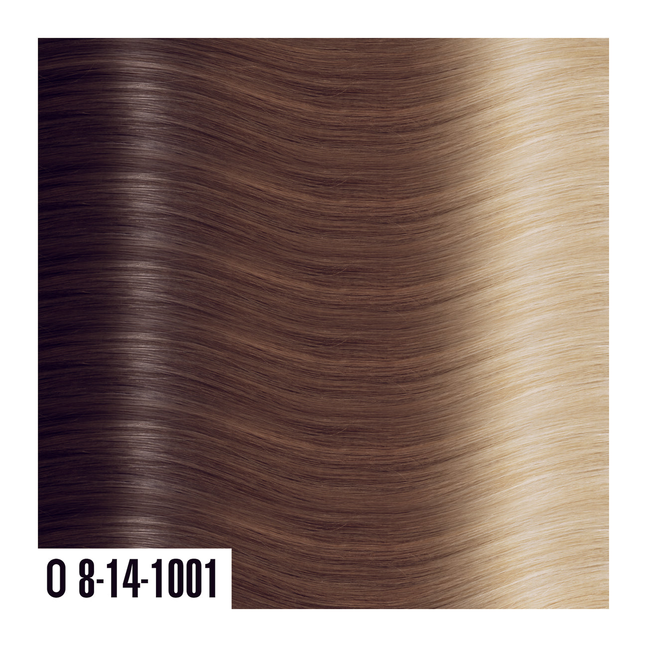 O8-14-1001 - Prime Tape In Medium brown into Blonde - Ombre colors are a beautiful gradual blend of 3 colors with darker roots and lighter ends.  