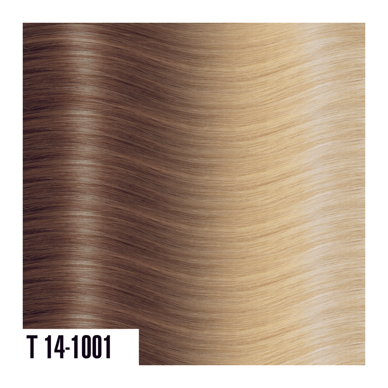 Weft System Straight Shatush (Two Tone Ombre)